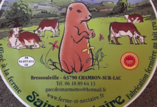 GAEC DES Marmottes. Saint-Nectaire 