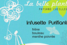 La Belle Plante. Paysans cueilleurs. Infusette purifiante
