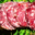La Ferme des Charolaises. saucisson pur boeuf
