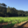 Domaine Mosconi