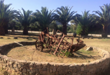 Domaine Mosconi