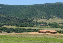 Domaine Pero Longo