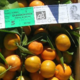 Alimea, fruits corses issus de l'agriculture biologique