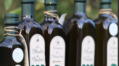 Domaine de Marquiliani. Huile d'olive vierge extra extraite à froid