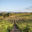 Domaine de torraccia