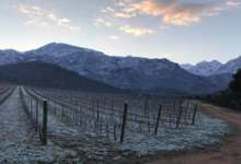 Domaine D'alzipratu