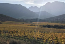 Domaine D'alzipratu