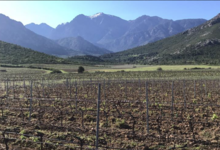 Domaine D'alzipratu