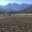 Domaine D'alzipratu