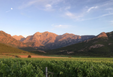 Domaine D'alzipratu