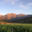 Domaine D'alzipratu