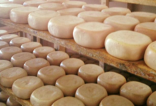 Fromagerie Marty michel. Fromage de chèvre fermier