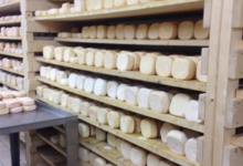 GAEC Monte Padru. Costa David. Fromage de chèvre fermier