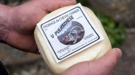U Pulaschese. Fromage de chèvre
