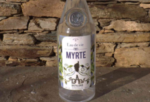 Distillerie de Pietracorbara. Eau de vie myrte 50cl 40°
