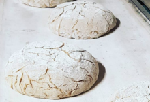 Boulangerie Ventura. Tourte de seigle miel de châtaignier et noisettes de Cervioni