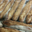 Boulangerie Ventura. Baguettes