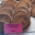 Boulangerie Ventura. Moelleux à la châtaigne