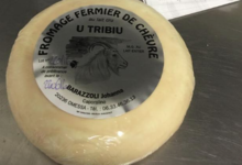Fromagerie " U Tribiu ". Fromage fermier de chèvre