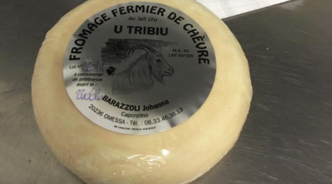 Fromagerie " U Tribiu ". Fromage fermier de chèvre