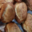 Four a bois de bocognano. Miches
