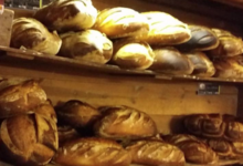 Four a bois de bocognano