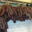 Charcuterie Mannei. Figatelli