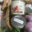 Fromagerie U Diceppu. Bursinu