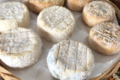 Fromagerie U Diceppu. fromage frais de brebis fermier