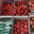 Alta Rocca Canistrelli. Tomates