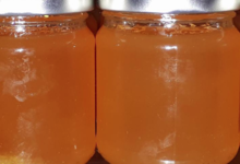 Alta Rocca Canistrelli. gelée de clémentine Corse bio