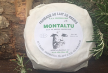 Fromagerie Alta Cima. Montaltu