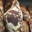 Boulangerie Pâtisserie La Fougasseria. Pain