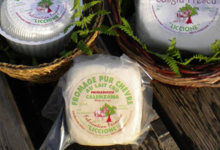 Fromagerie Liccione. Fromage de chèvre type Calenzana
