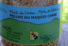 Carasciale Miel de Salice. Pollen du maquis Corse