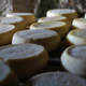 I Casgioni - Bergers et Fromagers Corses. fromage de brebis