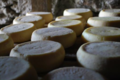 I Casgioni - Bergers et Fromagers Corses. fromage de brebis