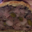 Boucherie Charcuterie Traiteur Mancini. Pâté en croute