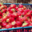L’Orti Taveracci. Fraises
