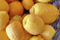 L'Ortulinu. citron