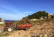 Clos Marfisi