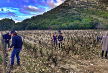 Clos Marfisi