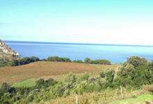 Clos Marfisi