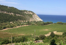 Clos Marfisi