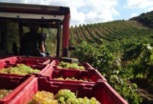 Clos Colonna - Sartène