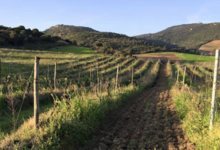 Clos Colonna - Sartène