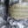Mele di Santa Maria. Biscuits chocolat noisettes