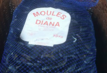 Pesc' In Balagna. Moules de Diana