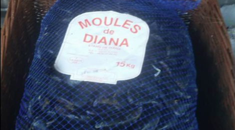 Pesc' In Balagna. Moules de Diana