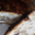 Ciucciarella. pain des morts